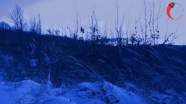 Chilling Paprika - Frozen Goose - psychedelic, scary, but kind of beautiful music смотреть онлайн