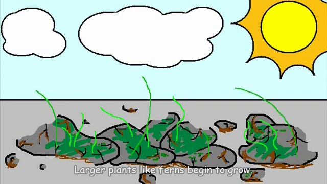 Primary Succession смотреть онлайн