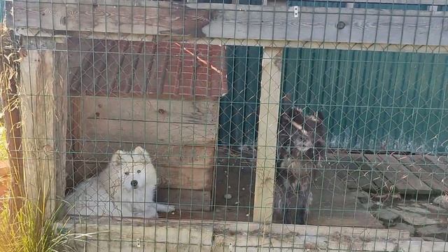 Обзор основной территории смотреть онлайн