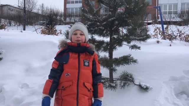 Пирожок №74 СИНИД Сергей "Художница зима" смотреть онлайн