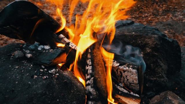 Уникален Телешки Бургер 🍔 [Готвене в Гората]🍔 смотреть онлайн