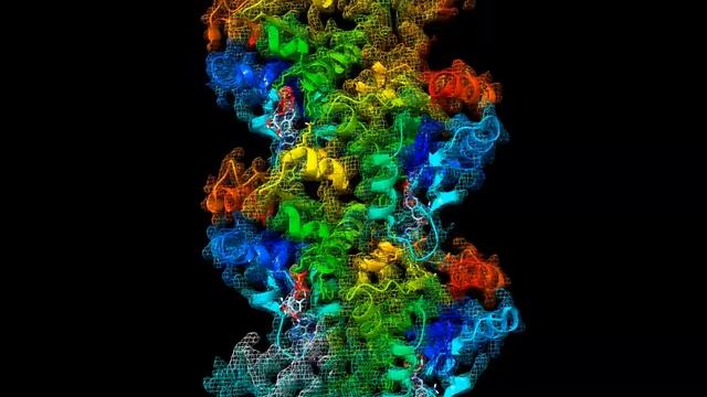 #CryoEM structure of the Toll/interleukin-1 receptor domain from AbTir in complex with 3AD смотреть онлайн