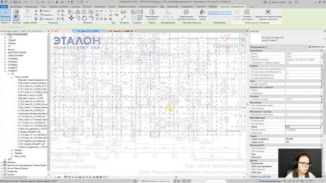 [Курс «Revit. Базовый курс»] Режим отображения скрытых элементов смотреть онлайн