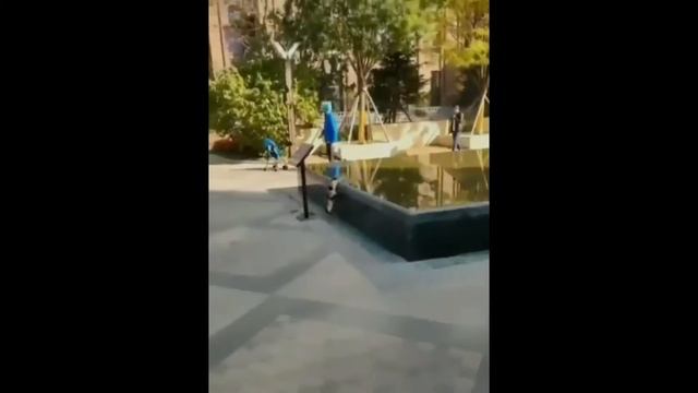 Смешные котята и коты смотреть онлайн