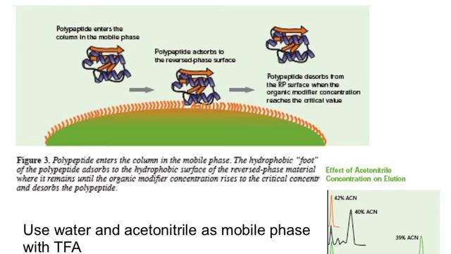 Week 5- Protein Engineering Lecture 6: Solid Phase Peptide Synthesis смотреть онлайн
