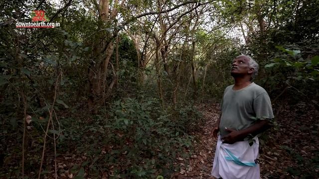 This Tamil Nadu Man Turns 100 Acres Of Barren Land To An Indigenous Forest