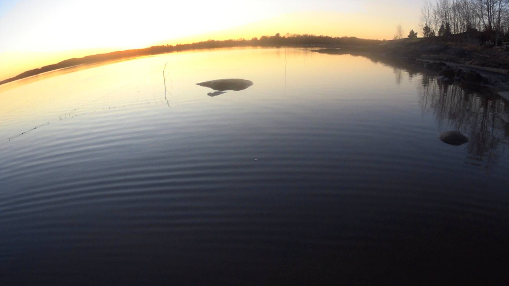 ЧТО ПОПАЛО ЗА ПЯТЬ ЧАСОВ В МОРСКУЮ СЕТЬ! смотреть онлайн