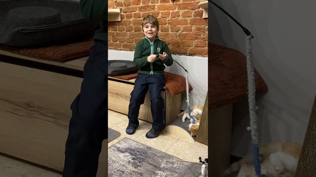 Самое милое Котокафе в Санкт-Петербурге смотреть онлайн