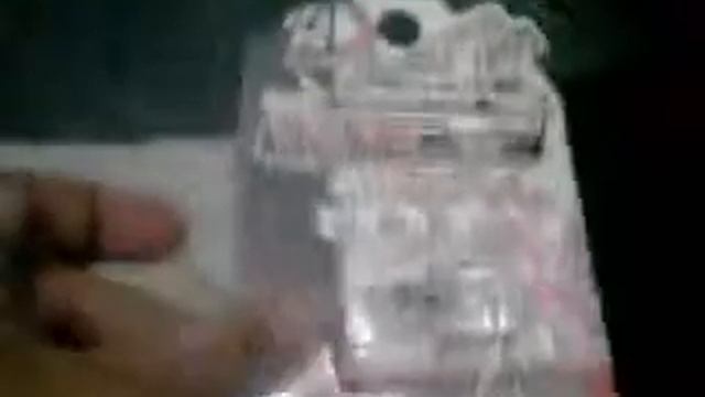 I Brought Digivice Mini Xros!!!