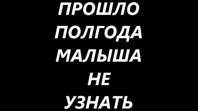 МАНЧКИН КОТЕНОК КАК МЕНЯЕТСЯ ОКРАС С ВОЗРАСТОМ. Из светлого котенка, в шоколадного котенка. смотреть онлайн
