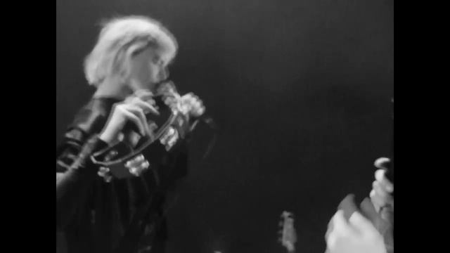 Warhaus - Love's A Stranger (Official Video) смотреть онлайн