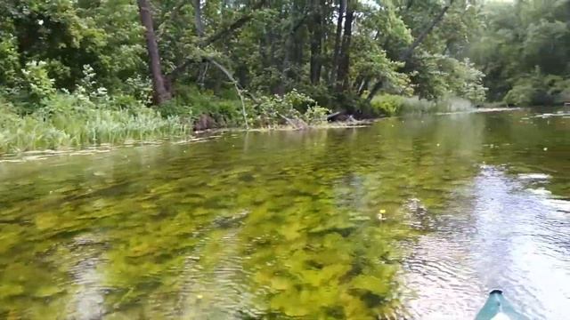 Сплав на байдарках по реке Битюг июль 2022 смотреть онлайн