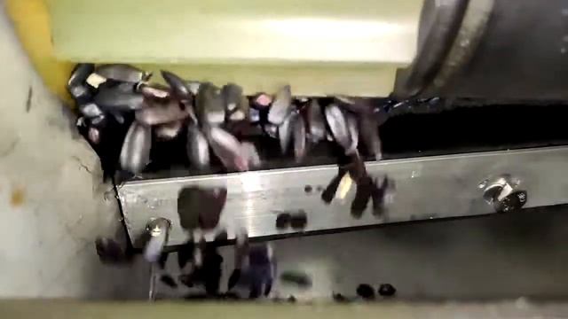 Щетка размещена под углом 18° относительно осевой линии штатной катушки. смотреть онлайн