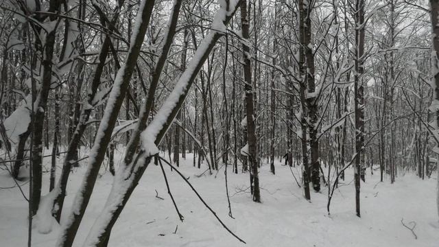 GX010241 смотреть онлайн
