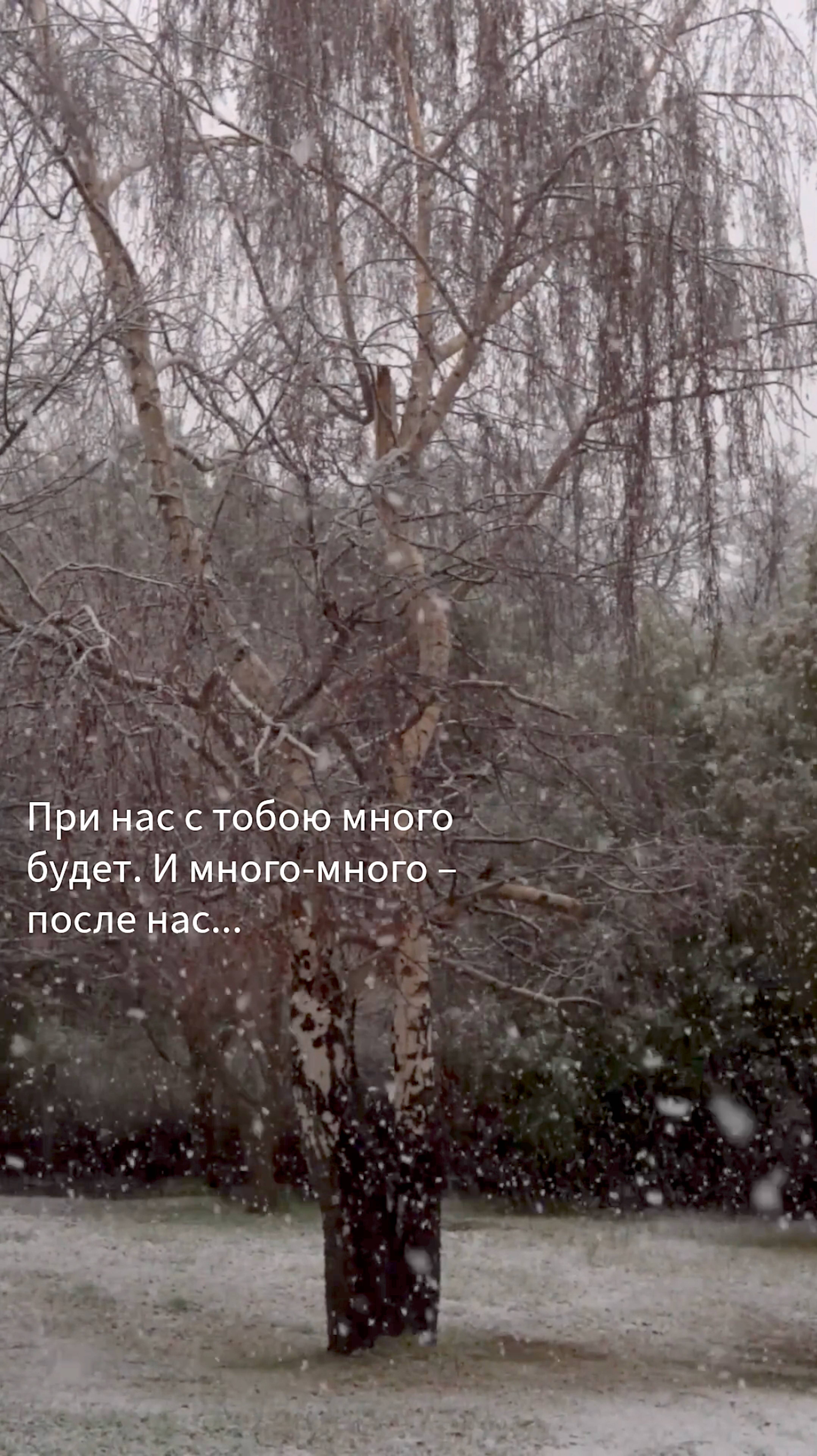 Новогоднее стихотворение «Утро». Татаринцев смотреть онлайн