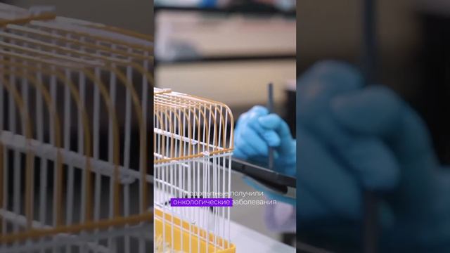 Читай описание 👇🏻