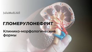 Гломерулонефрит. Клинико-морфологические формы
