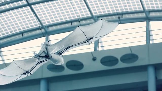 Futuristic Animal Robots - Future Technology You Need to See смотреть онлайн