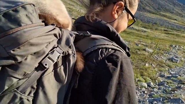 КОРОТКОЛАПЫЙ КОТ ПРИЛИП К РЮКЗАКУ, НЕОБЫЧНЫЙ ТУРИСТ. смотреть онлайн