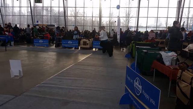 25 января 2020 г.