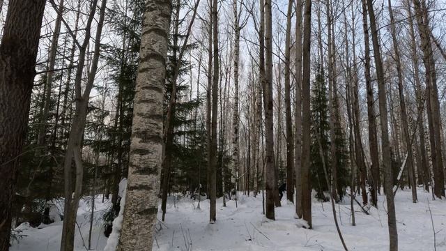 GX010212 смотреть онлайн