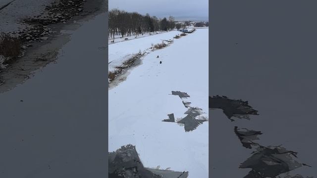 Рыбаки на Волге, 25/12/2024 #волга #рыбаки #декабрь #зима #рыба #леднаволге #лед #зимняярыбалка смотреть онлайн