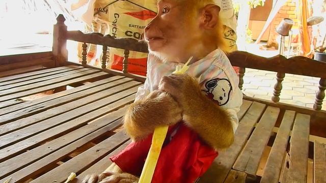 A Farmer SokYaa Cut Sugarcane Cos Loving, Smart смотреть онлайн