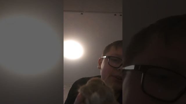 часть первая про мои домашние животные смотреть онлайн