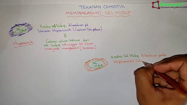 KOLIGATIF [ Aplikasi Tekanan Osmotik Pada SEL HIDUP ] смотреть онлайн