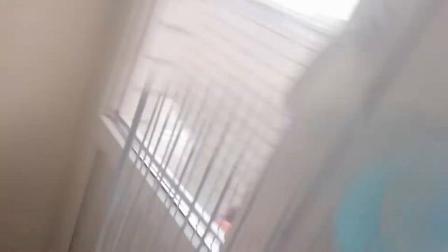 Кринжовый обзор на хомяка. смотреть онлайн