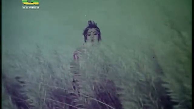 Poddaboti | পদ্মাবতী | Bangla Full Movie | Waseem | Anju | Javed | Rozi Samad | Dilara смотреть онлайн