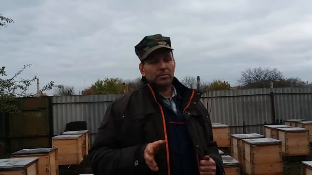Пасека Андрюхана Часть 2 смотреть онлайн