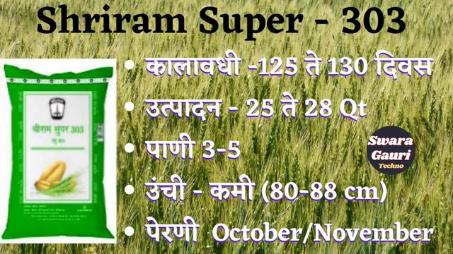 गहू- महाराष्ट्रातील सर्वोत्तम वाण. 🌾 Top 5 Wheat Varieties in Maharashtra 🔴 गव्हाच्या जााती - Gahu смотреть онлайн