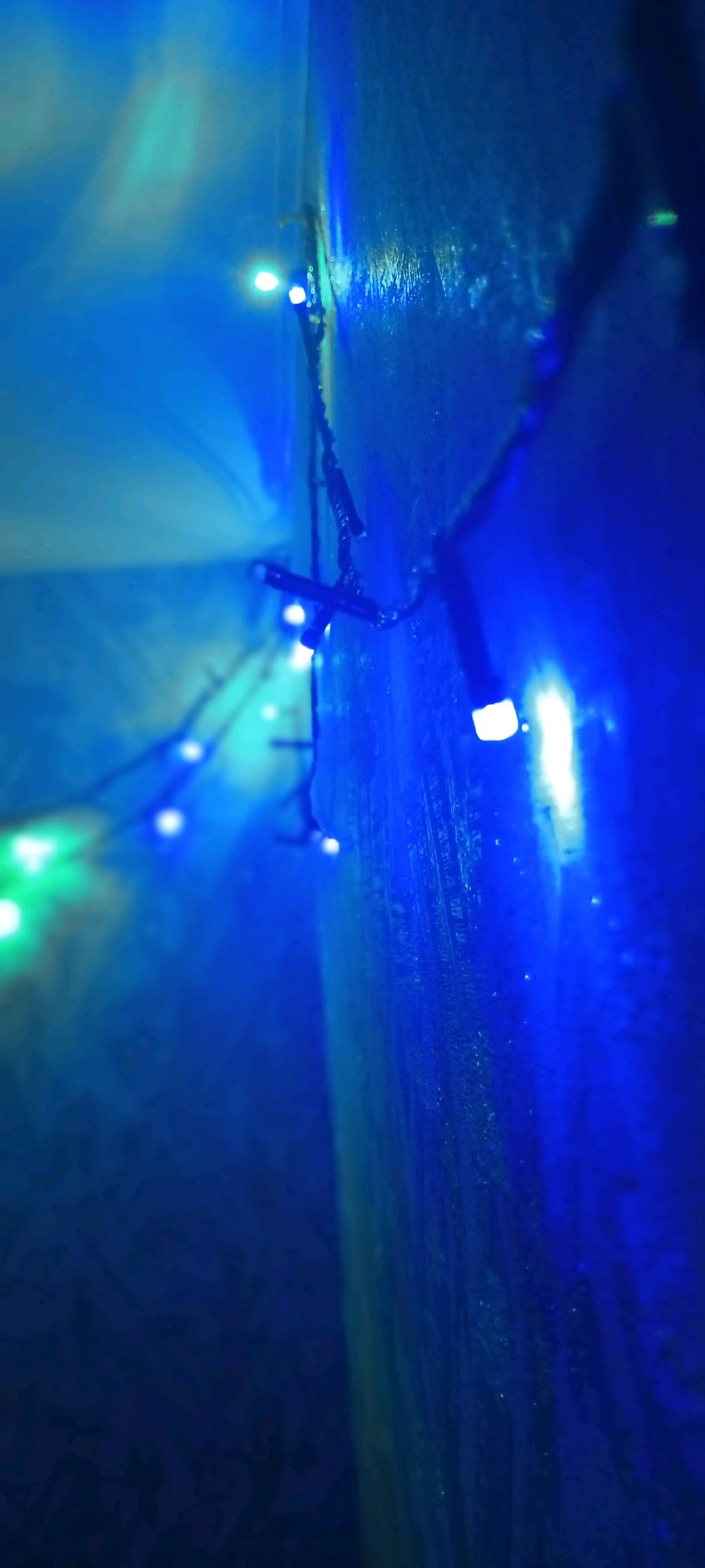 Рождественский фестиваль