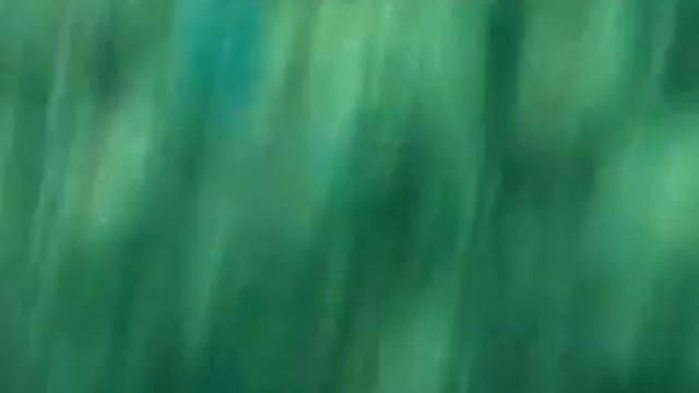 Morsko konche смотреть онлайн