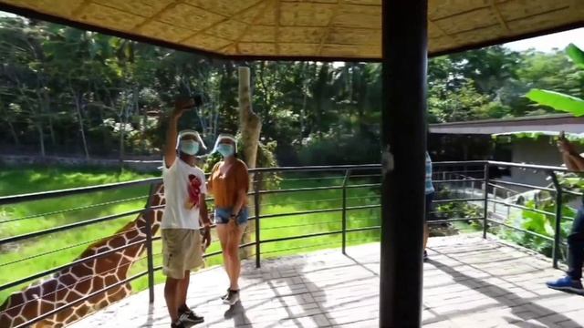 #WanderWhere: Queen City of the South - Cebu, Philippines смотреть онлайн