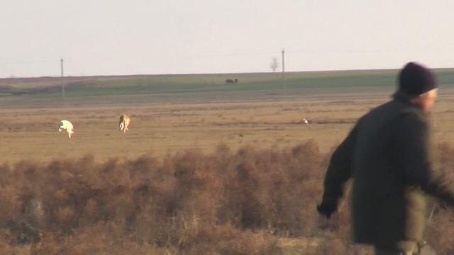 На фейсбук смотреть онлайн