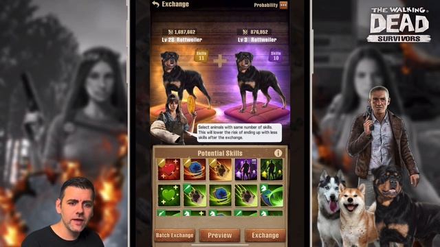 How to Properly Build Up Your Dog смотреть онлайн