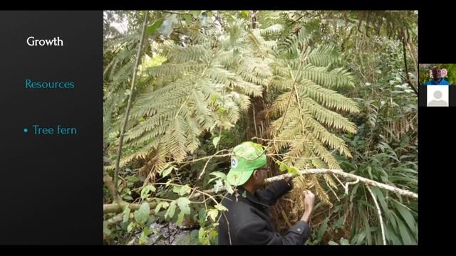 A Botanical Journey: The career path of a plant scientist with Joshua Ajowele смотреть онлайн