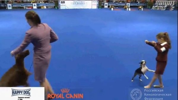 Евразия 2, Лучший Юный Хендлер