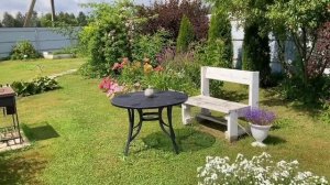 Уютная дача: Обзор моего сада 15 июля 2024.