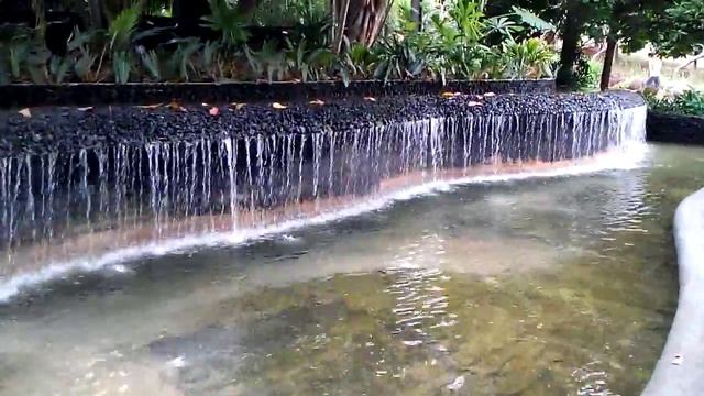 SG Botanic Garden 08/16/15 смотреть онлайн