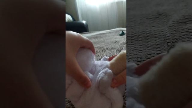 Йога от кошки Лили смотреть онлайн