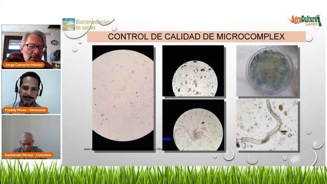 AGRICULTURA REGENERATIVA: FERTILIDAD CON MICROORGANISMOS смотреть онлайн