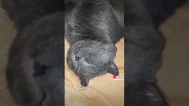 Будни так и пролетают смотреть онлайн