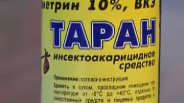 Таран 50мл