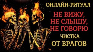 ОТ ВРАГОВ: ЧИСТКА НЕ ВИЖУ, НЕ СЛЫШУ, НЕ ГОВОРЮ