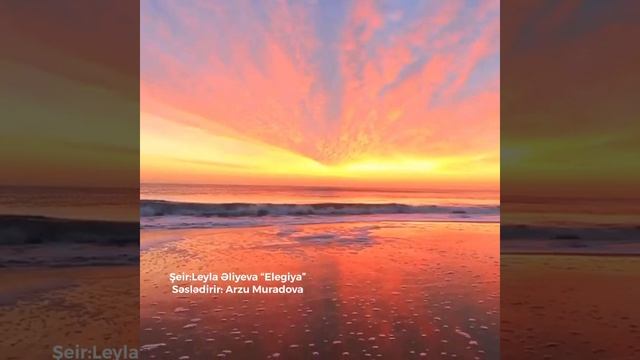 Leyla Aliyeva - elegiya | ArzuMur смотреть онлайн