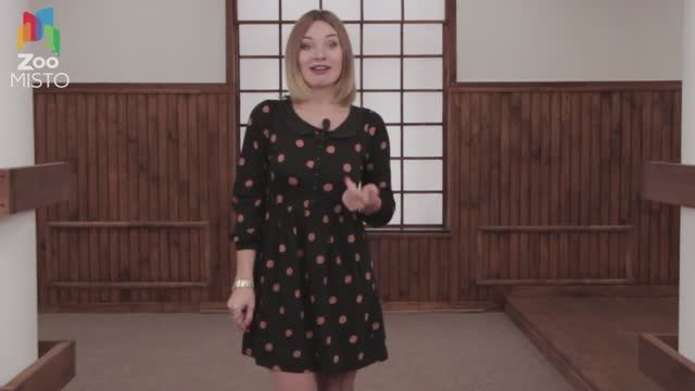 Корм для кошек Trainer Natural Cat с курицей - Обзор смотреть онлайн