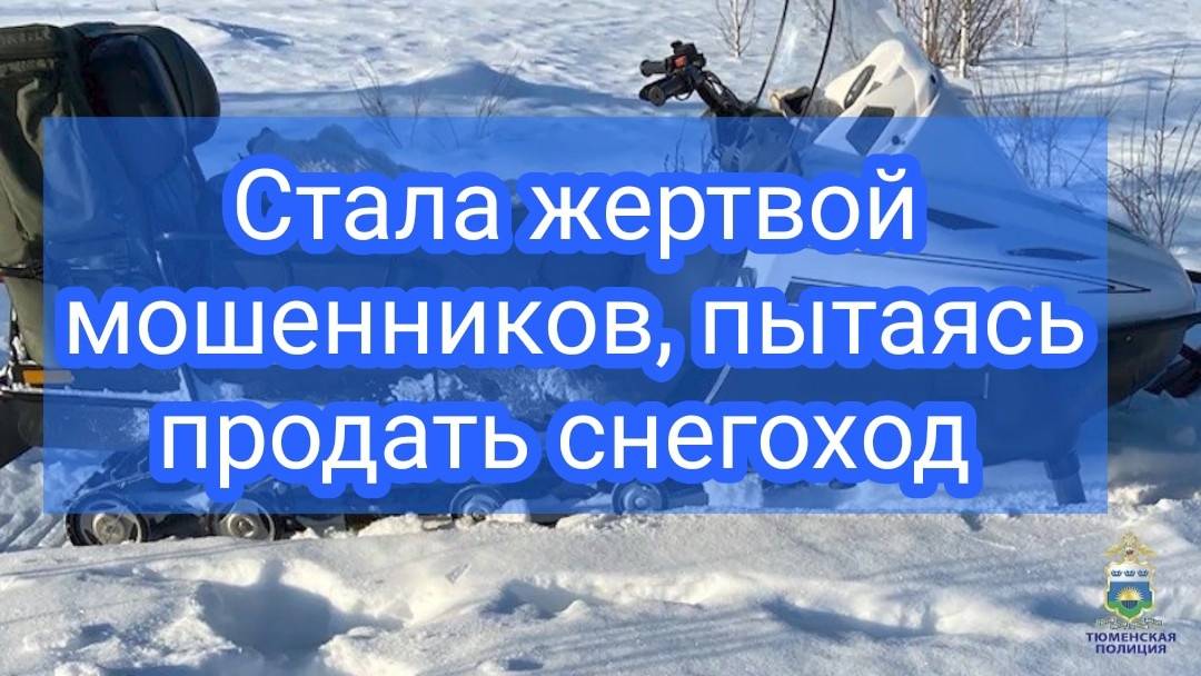 Жительница Ялуторовска стала жертвой мошенников, пытаясь помочь зятю продать снегоход смотреть онлайн